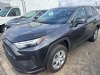 Used 2025 Toyota RAV4 - Houston - TX