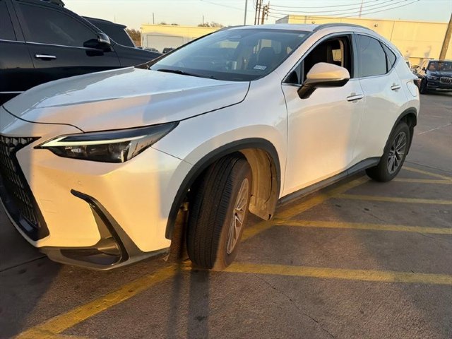 An image of 2024 Lexus NX